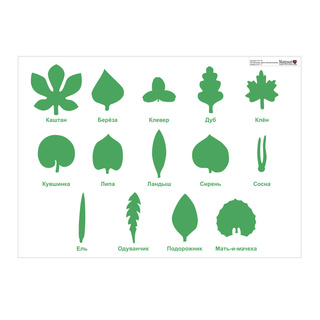 Контрольная карта к ботаническому комоду