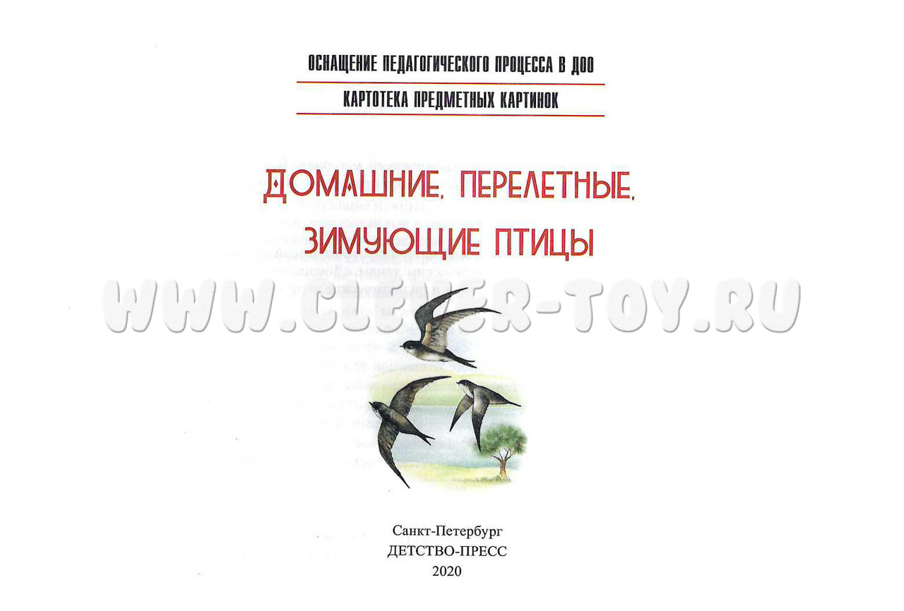 Картотека предметных картинок 09. Домашние, перелетные, зимующие птицы. 3-7  лет. ФГОС ДП-937629 в Самаре|CLEVER-TOY.RU