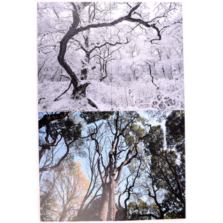 Магнитный плакат Птицы без набора карточек (мобильный)