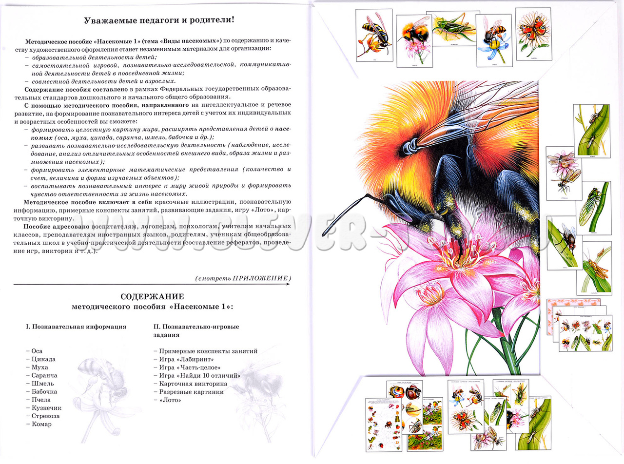 Методическое пособие 