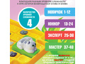 Игра настольная логическая "Кошки-мышки. Охота играть"