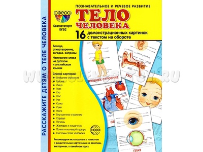 Демонстрационные картинки СУПЕР. Тело человека (16 шт.) НОВЫЕ