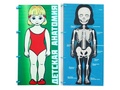 Папка мягкая "Анатомия"