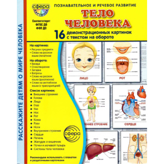 Демонстрационные картинки СУПЕР. Тело человека (16 шт.) в папке